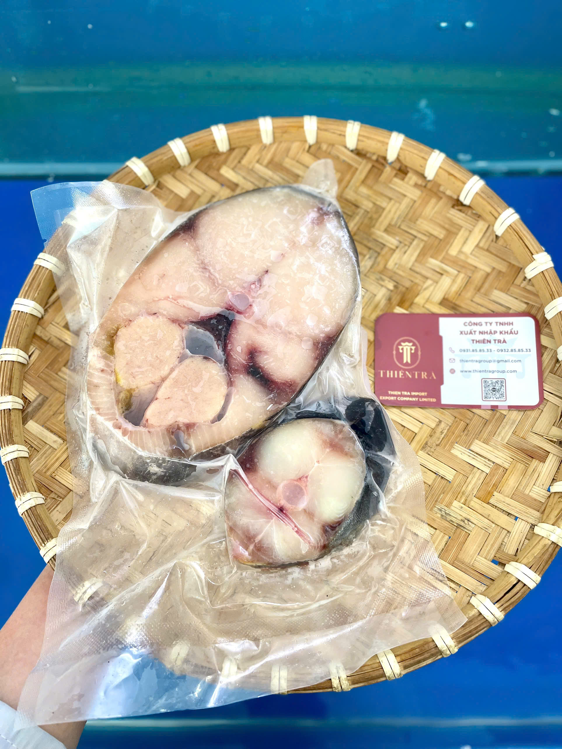 CÁ THU CẮT KHOANH CẤP ĐÔNG