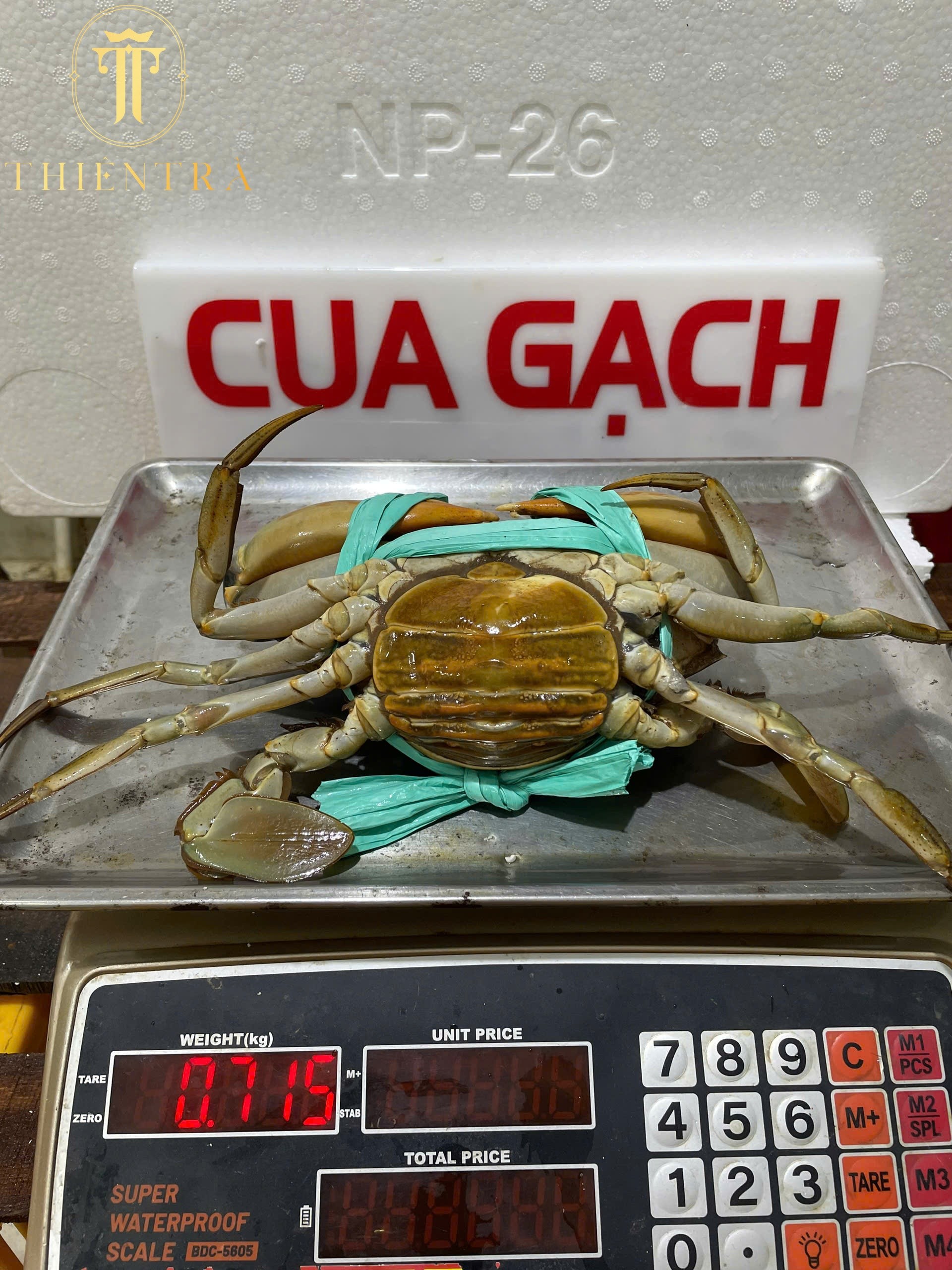 Cua Gạch Son Cà Mau - Ảnh 8