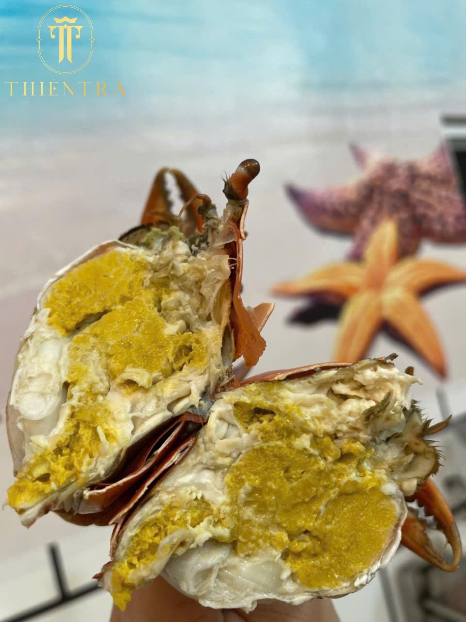 Cua Cốm 2 Da Cà Mau - Ảnh 2