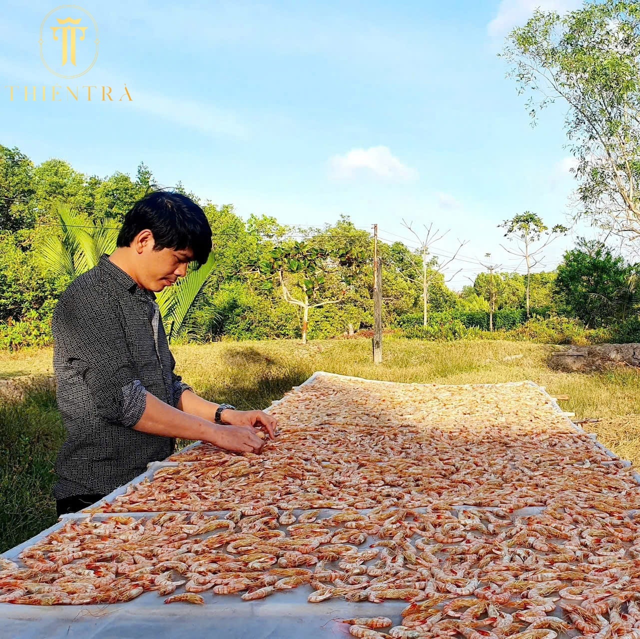 Tôm Khô Đất Cà Mau – Đặc Biệt - Ảnh 5