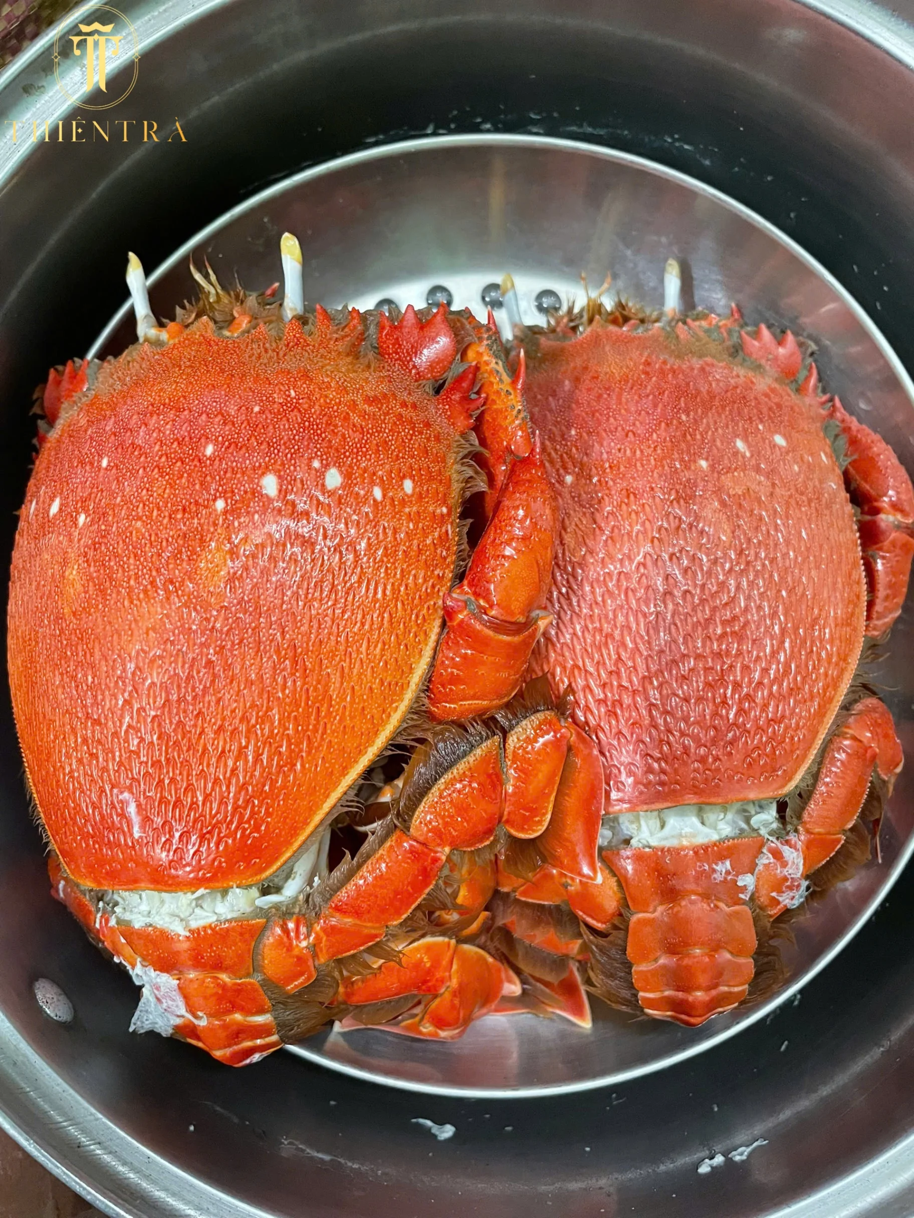 Cua Huỳnh Đế - Ảnh 5