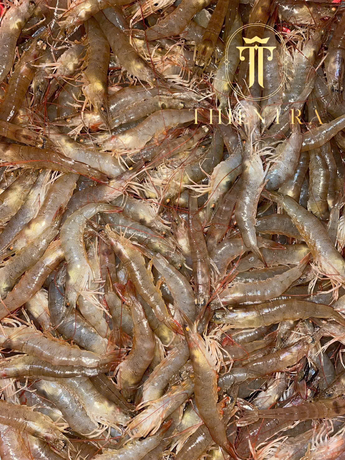 Tôm Khô Đất Cà Mau – Đặc Biệt - Ảnh 8