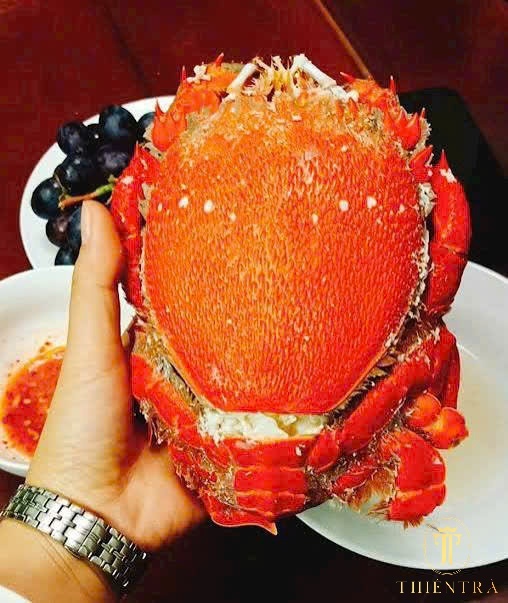 Cua Huỳnh Đế - Ảnh 9